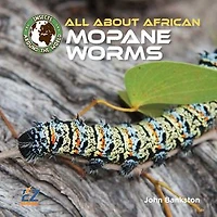All About African Mopane Worms