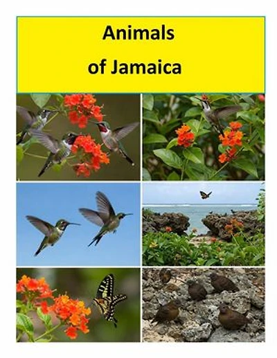 Animals of Jamaica