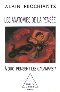 Les Anatomies de la pensée: À quoi pensent les calamars ?