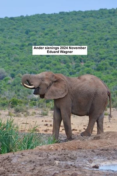 Ander sienings 2024 November