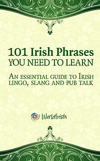 101 Irish Phrases You Need To Know: An essential guide to Irish lingo, slang and pub talk