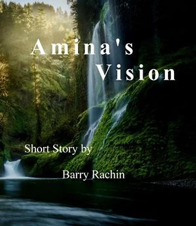 Amina's Vision