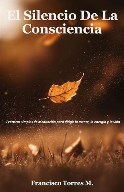 El Silencio De La Consciencia
