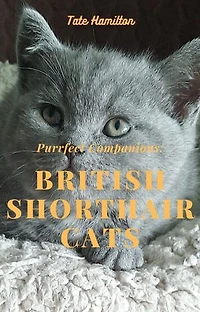 Purrfect Companions: British Shorthair Cats: Support me and subscribe