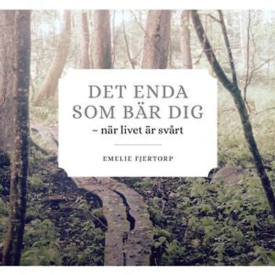 DET ENDA SOM BÄR DIG
