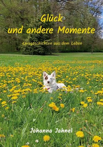 Glück und andere Momente: Kurzgeschichten aus dem Leben