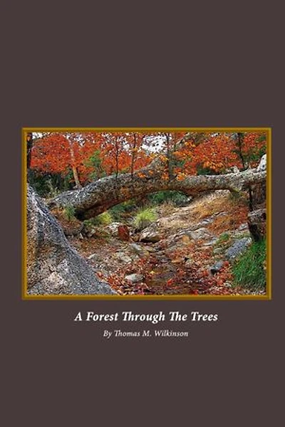 A Forest Through the Trees