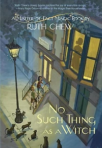 a Matter-of-Fact Magic Book: No Such Thing as Witch