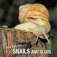 How they live... Snails and Slugs: Learn All There Is to Know About These Animals!