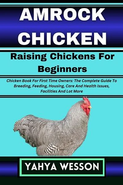 AMROCK CHICKEN Raising Chickens For Beginners: Chicken Book For First Time Owners: The Complete Guide To Breeding, Feeding, Housing, Care And Health Issues, Facilities And Lot More