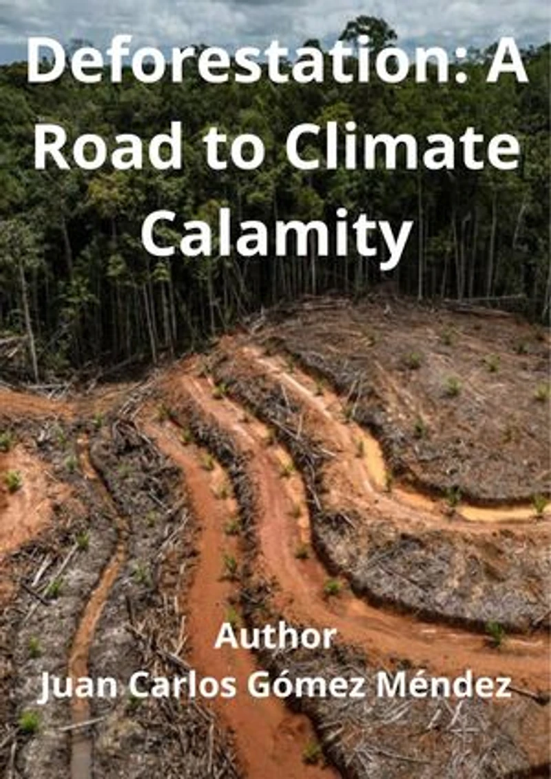 Deforestation: A Road to Climate Calamity: Research published in English, #2