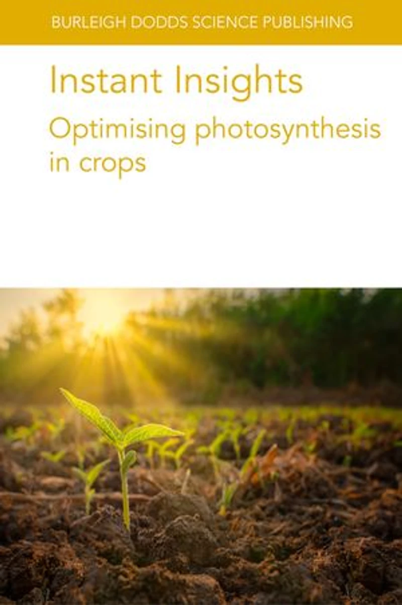 Instant Insights: Optimising photosynthesis crops