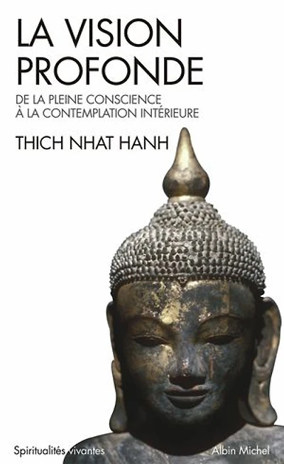 la vision profonde: de pleine conscience à contemplation intérieure