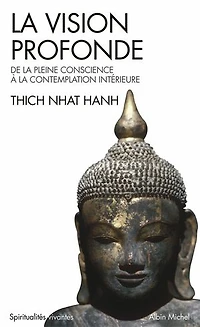 la vision profonde: de pleine conscience à contemplation intérieure