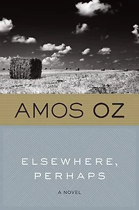 Elsewhere, Perhaps: A Novel