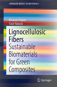 Lignocellulosic Fibers: Sustainable Biomaterials For Green Composites