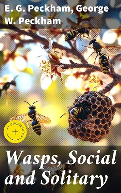 Wasps, Social and Solitary: Enriched edition. Exploring the Intricate World and Societal Structures of Nature's Fascinating Insects