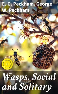Wasps, Social and Solitary: Enriched edition. Exploring the Intricate World and Societal Structures of Nature's Fascinating Insects