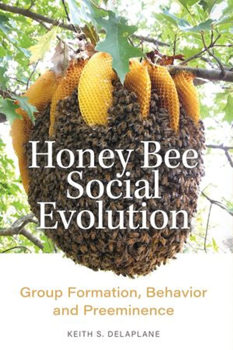 Honey Bee Social Evolution: Group Formation, Behavior, and Preeminence