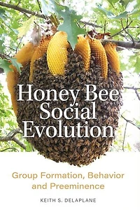 Honey Bee Social Evolution: Group Formation, Behavior, and Preeminence