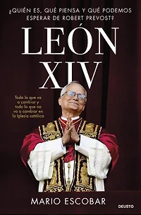 León XIV: ¿Quién es, qué piensa y qué podemos esperar de Robert Prevost?