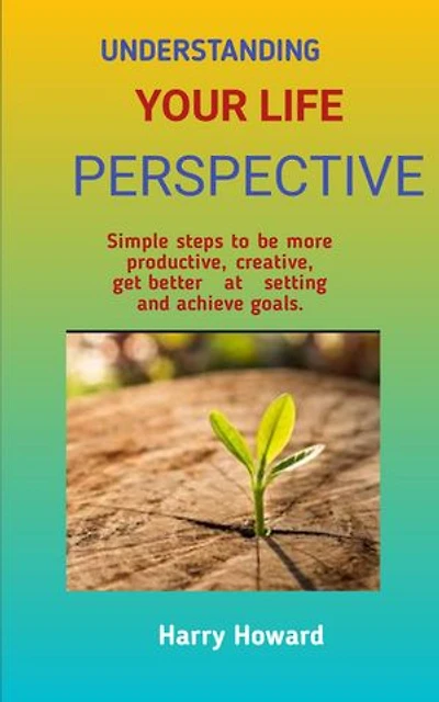 Understanding your life Perspective: Simple steps to be more productive, creative, get better at setting and achieve goals.