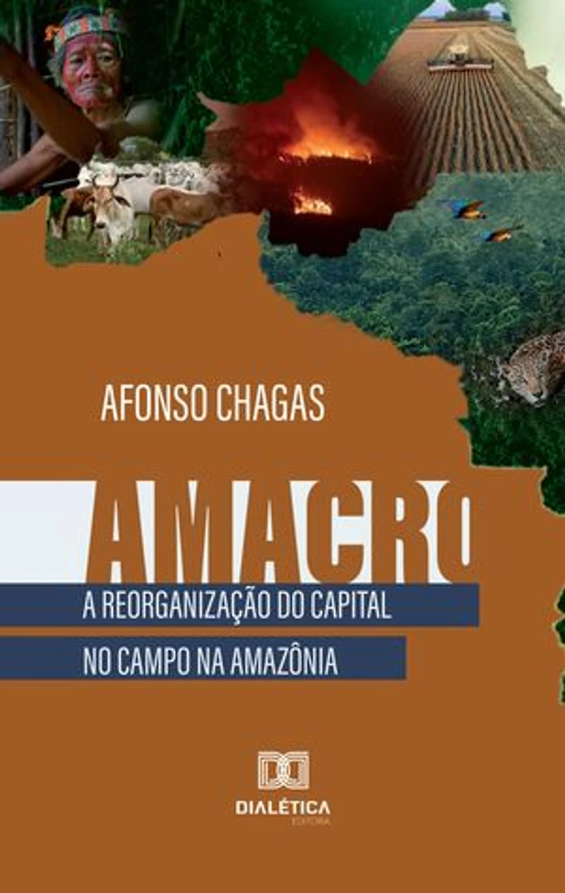 Amacro: a reorganização do capital no campo na Amazônia