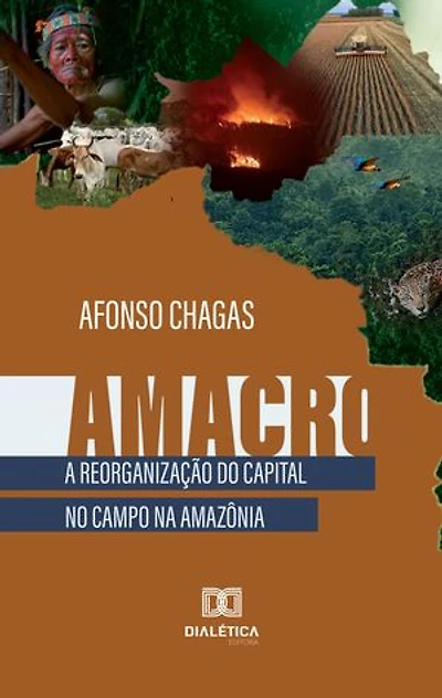 Amacro: a reorganização do capital no campo na Amazônia