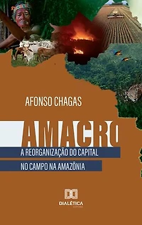 Amacro: a reorganização do capital no campo na Amazônia
