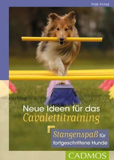 Neue Ideen für das Cavalettitraining: Stangenspaß fortgeschrittene Hunde