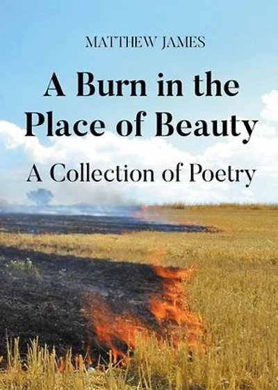A Burn in the Place of Beauty: A Collection of Poetry