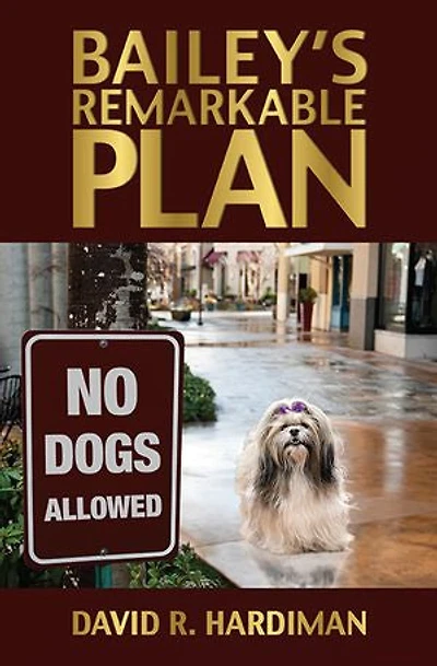 Bailey's Remarkable Plan