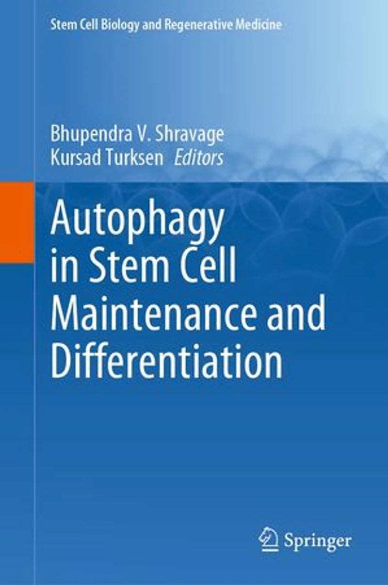 Autophagy Stem Cell Maintenance and Differentiation