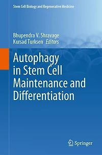 Autophagy Stem Cell Maintenance and Differentiation