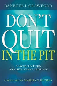 Don't Quit the Pit: Power to Turn Any Situation Around!