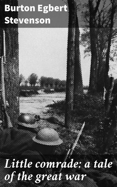 Little comrade: a tale of the great war: A poignant World War I tale of sacrifice, courage, and hope amidst chaos and destruction