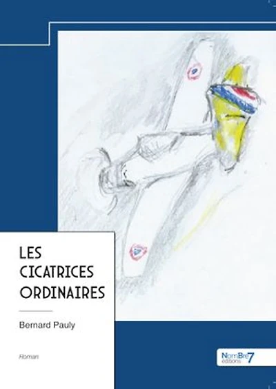 Les Cicatrices ordinaires