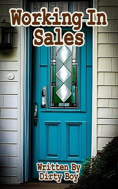Working In Sales: Working In..., #6