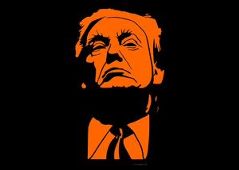 101 Insults By Donald Trump: A How to Guide on Twitter Warfare.