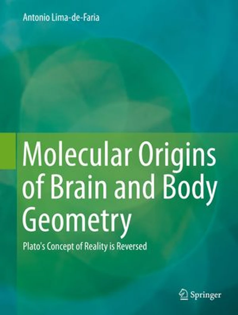 Molecular Origins of Brain and Body Geometry: Plato's Concept Reality is Reversed