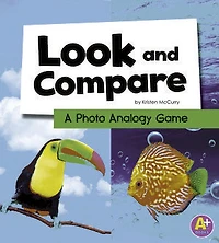 Look and Compare: A Photo Analogy Game