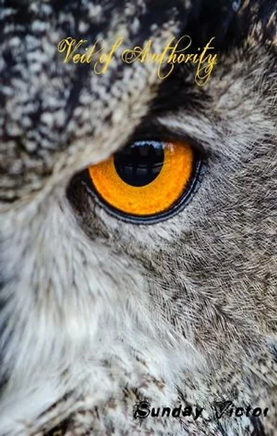 Veil of Authority