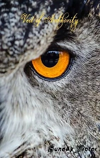 Veil of Authority