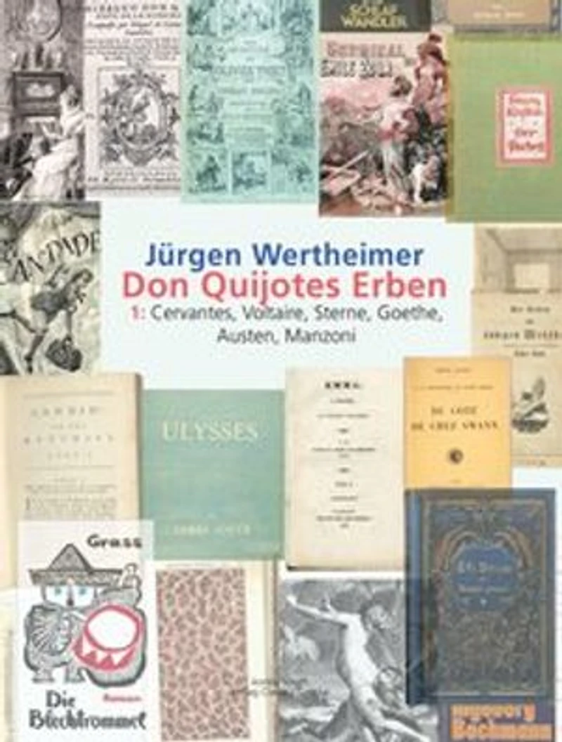 Don Quijotes Erben - Die Kunst des europäischen Romans: 1: Cervantes, Voltaire, Sterne, Goethe, Austen, Manzoni