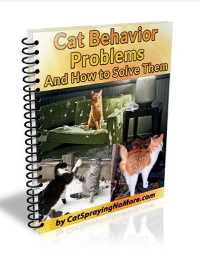 Cat Behavior Problems & How to Solve Them: Decode Your Cat’s Behavior
