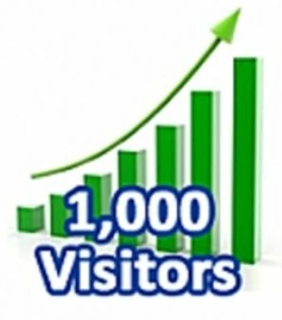 1,000 Visitors in One Month