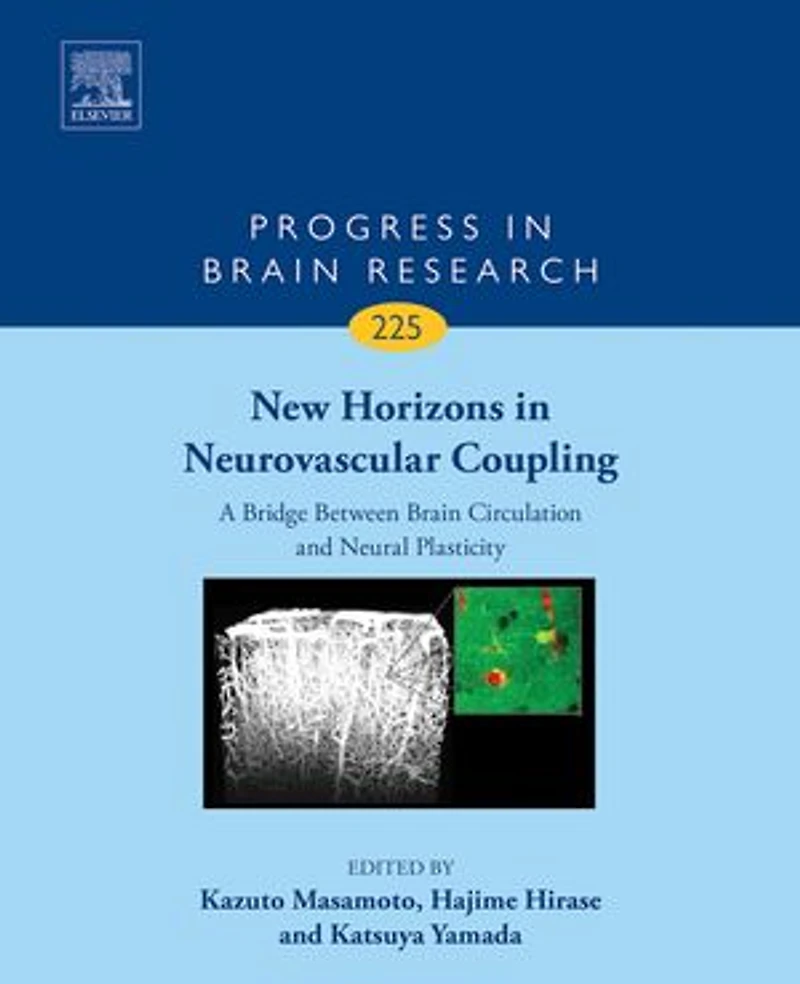 New Horizons Neurovascular Coupling: A Bridge Between Brain Circulation and Neural Plasticity