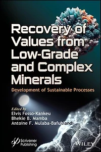 Recovery of Values from Low-Grade and Complex Minerals: Development Sustainable Processes