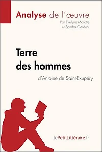 Terre des hommes d'Antoine de Saint-Exupéry (Analyse l'oeuvre): Analyse complète et résumé détaillé l'oeuvre