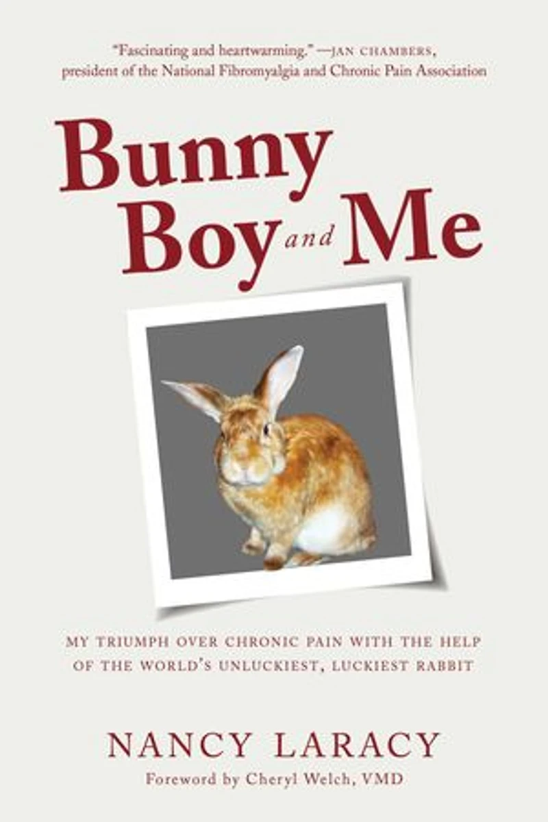 Bunny Boy and Me: My Triumph over Chronic Pain with the Help of World's Unluckiest, Luckiest Rabbit